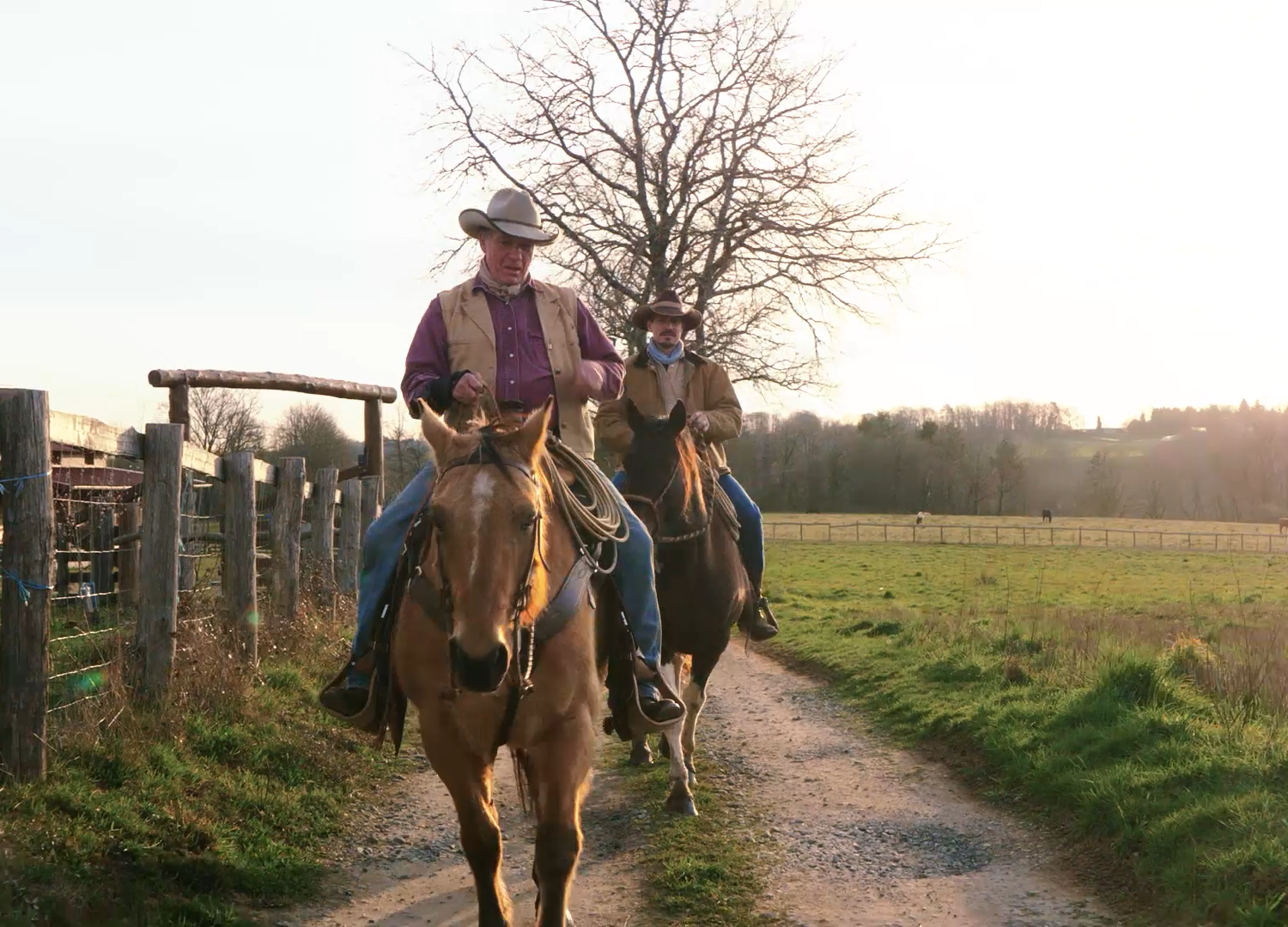 MA FOI EN PLEINE NATURE 02 – Jed, cow boy